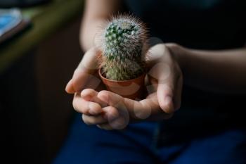 hand holds a cactus