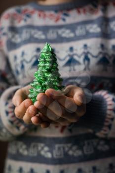 hands hold a christmas candle as fur-tree form