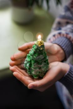 hands hold a christmas candle as fur-tree form