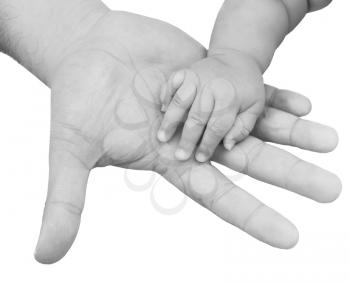adult hand holding a baby hand closeup, black and white 