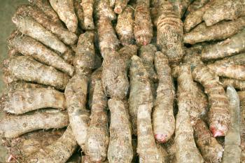 background of fresh taro root (colocasia) 