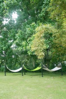 Hammocks out on sunny yard near to the forest