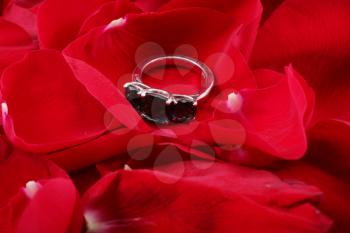 Beautiful ring in petals of red roses