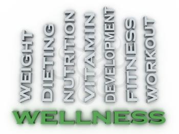 3d image Wellness  issues concept word cloud background