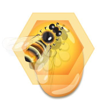 Royalty Free Clipart Image of a Bee on a Honeycomb