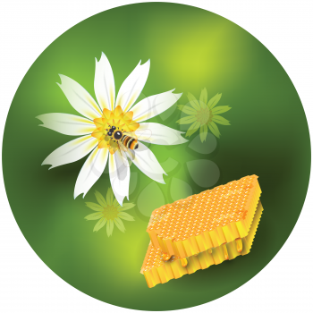 Royalty Free Clipart Image of a Bee on a Flower