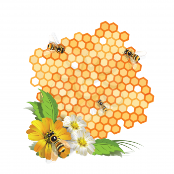 Royalty Free Clipart Image of Bees on a Honeycomb