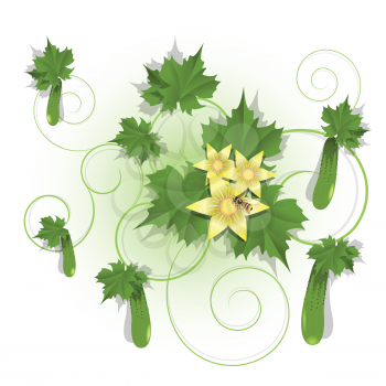 Royalty Free Clipart Image of a Cucumber and Flowers