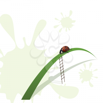Royalty Free Clipart Image of a Ladybug on Grass