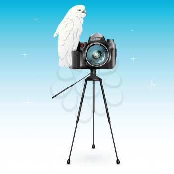 Royalty Free Clipart Image of a Parrot on a Camera
