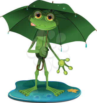 illustration green frog with a green umbrella