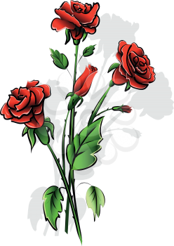 illustration insulated bouquet of the red rose on white background