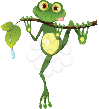 Royalty Free Clipart Image of a Frog on a Tree Branch