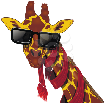 illustration of giraffe in a red scarf and sunglasses