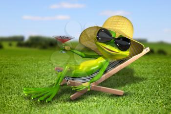 Illustration frog in a deck chair on the grass