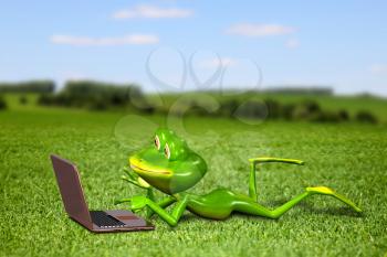 Illustration frog with a laptop on the grass