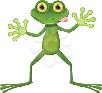 Illustration a Goggle-eyed Frog on a White Background