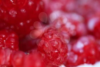 A background of ripe red raspberry with milk