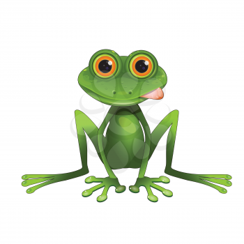 Stock Illustration Sitting Frog on a White Background