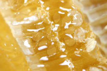 Macro shot of a Honeycomb with liquid honey