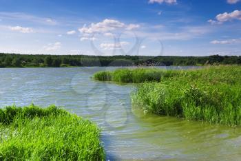 Royalty Free Photo of a Lake and Grassland