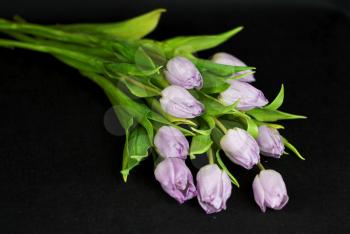 Royalty Free Photo of a Bouquet of Tulips