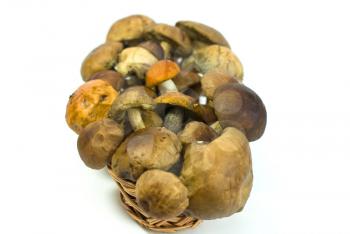 Royalty Free Photo of a Basket of Mushrooms
