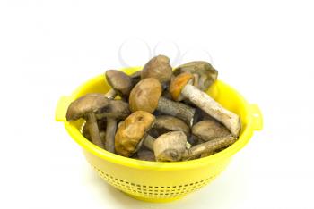 Royalty Free Photo of Mushrooms in a Bowl