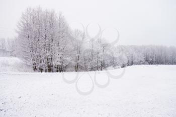 Royalty Free Photo of a Winter Landscape