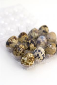 Royalty Free Photo of Quail Eggs