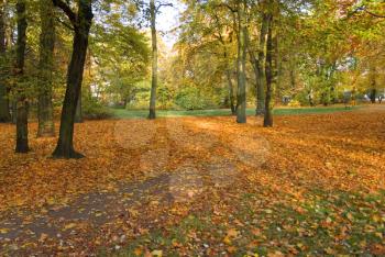 Royalty Free Photo of a Park in Autumn