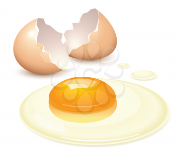 Royalty Free Clipart Image of a Broken Egg