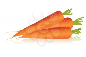 Royalty Free Clipart Image of Carrots