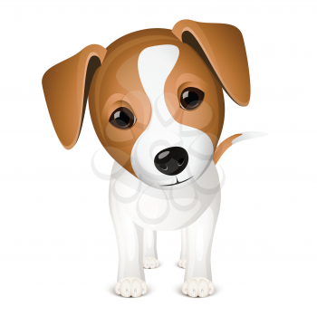 Royalty Free Clipart Image of a Jack Russel Puppy