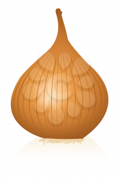 Royalty Free Clipart Image of an Onion