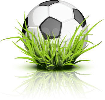 Royalty Free Clipart Image of a Soccer Ball in Grass