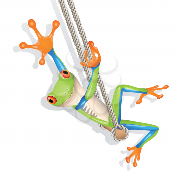 Royalty Free Clipart Image of a Tree Frog on a Swing