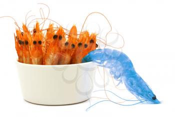 One blue shrimp escapes from a bowl. Isolated on white background.