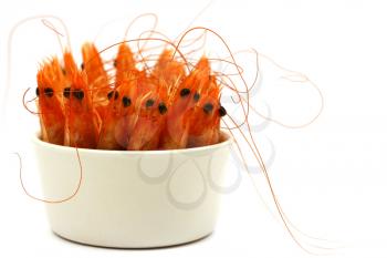 tiny bowl full of shrimps, antenna and head in the air