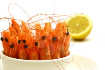 tiny bowl full of shrimps, antenna and head in the air, isolated on white