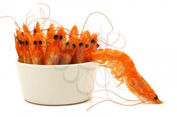 tiny bowl full of shrimps, antenna and head in the air, one shrimp escapes. Isolated on white.
