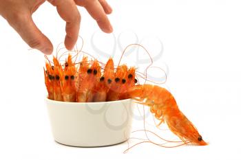 tiny bowl full of shrimps, antenna and head in the air, one shrimp escapes. Isolated on white.