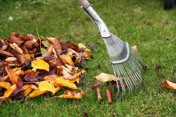 Raking autumn leaves, gardening during the holidays (horizontal)