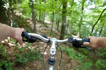Mountain biking, from a subjective point of view
