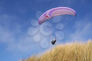 Purple paraglider passing over grass (horizontal)