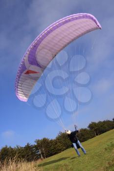 Purple paraglider before the jump (vertical)