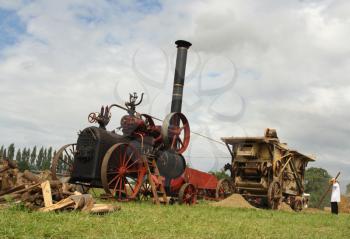 Vintage traction steam engine and threshing machine working in a field at the wheat fest