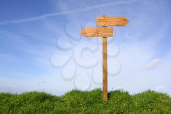 Wooden direction sign in grass, clipping path included