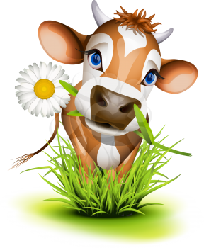 Royalty Free Clipart Image of a Jersey Cow in Grass With a Daisy