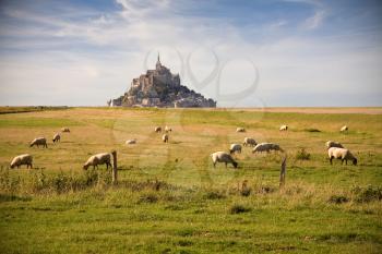 Royalty Free Photo of Le Mont-Saint-Michel and Sheep